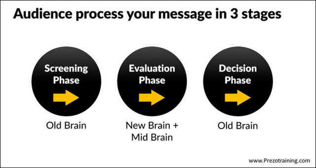 How Audience Process Your Message