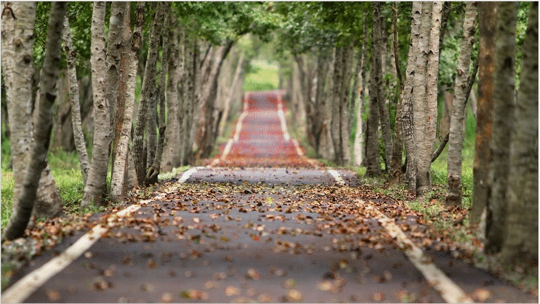 Road Photo Showing Focal Point