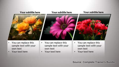 PowerPoint Creative Picture and Text PowerPoint Creative Picture and Text