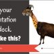 How to make your PowerPoint slide deck look harmonious